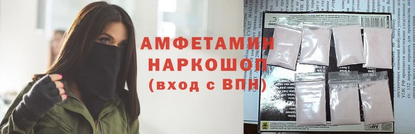 ПСИЛОЦИБИНОВЫЕ ГРИБЫ Абаза