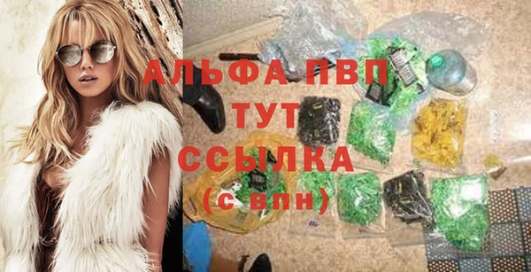 ПСИЛОЦИБИНОВЫЕ ГРИБЫ Абаза