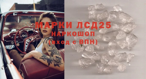 ПСИЛОЦИБИНОВЫЕ ГРИБЫ Абаза