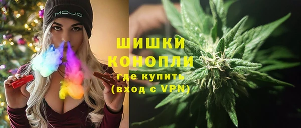 ПСИЛОЦИБИНОВЫЕ ГРИБЫ Абаза