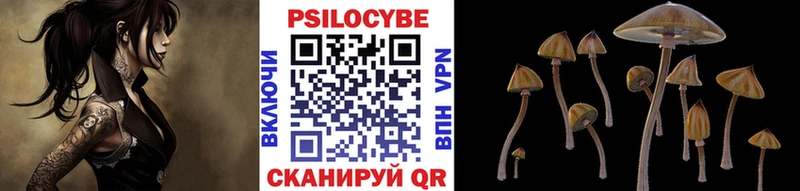 Галлюциногенные грибы прущие грибы  hydra вход  Грозный 